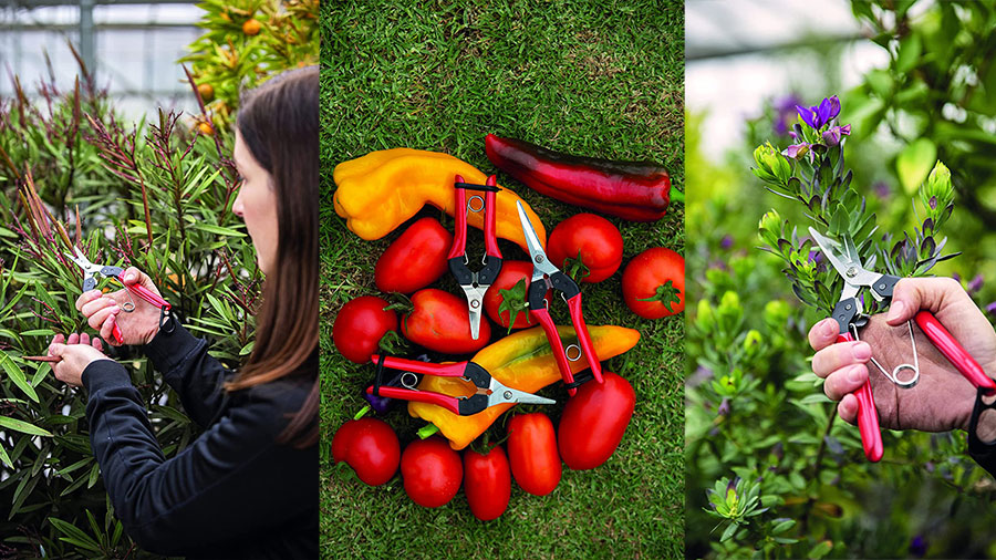 épinette Felco 320, 321 et 322 épinette Felco 320, 321 et 322